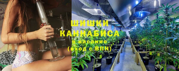 альфа пвп Гусиноозёрск