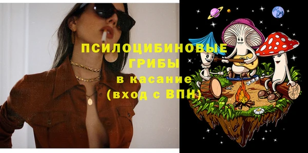 герыч Гусь-Хрустальный