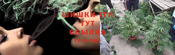 дживик Саяногорск