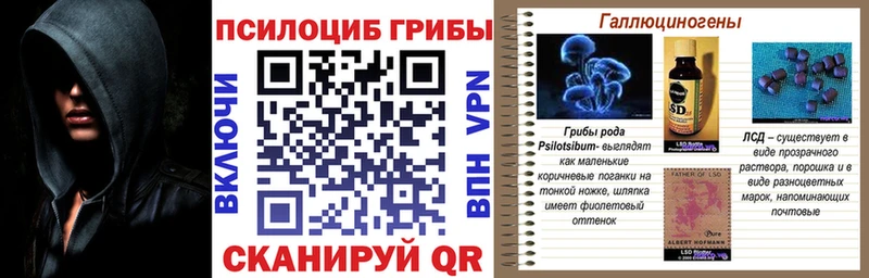 маркетплейс официальный сайт  купить   ОМГ ОМГ ссылка  Болхов  Галлюциногенные грибы Magic Shrooms 